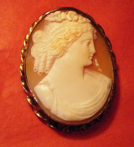 Quality Hand Carved Shell Cameo Pin/Brooch, Classic Profile PIN or PENDANT